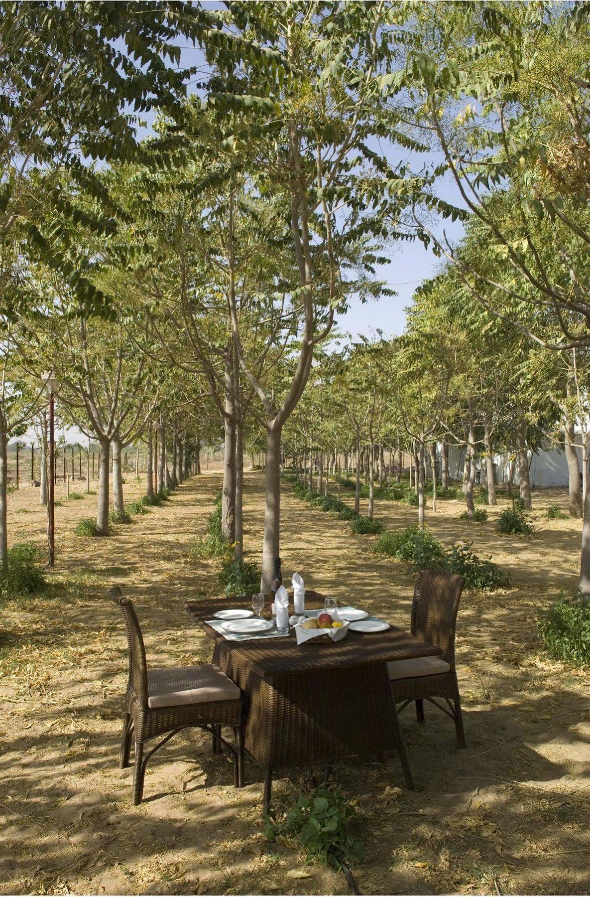 The Greenhouse Resort Pushkar Extérieur photo